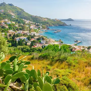 Cactuses and bay with typical Greek houses on the coast, Greek Islands, Aegean Sea