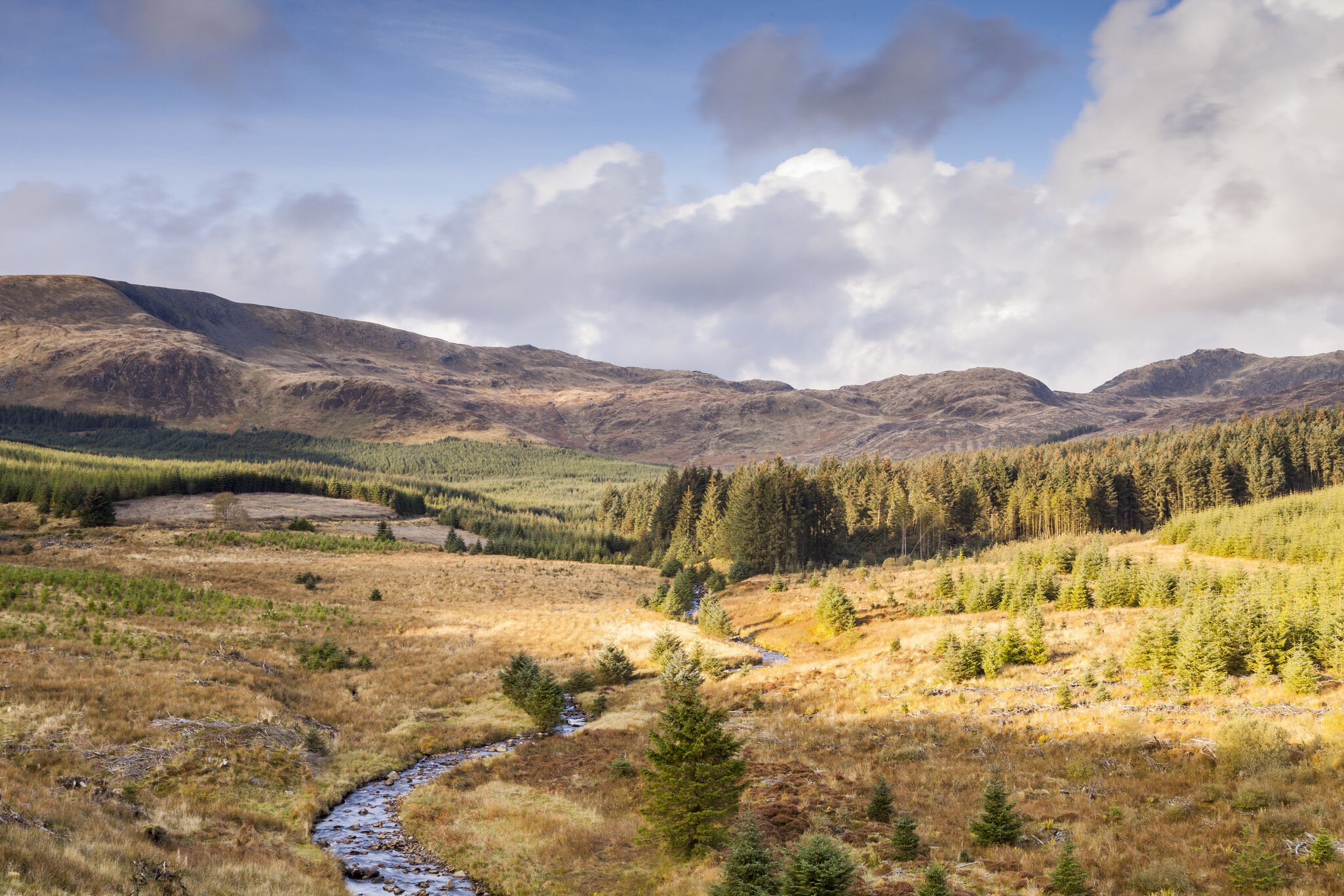 The Galloway Forest Park, Scotland