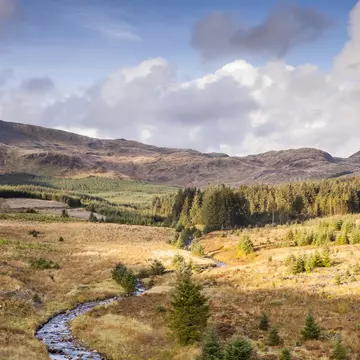 The Galloway Forest Park, Scotland
