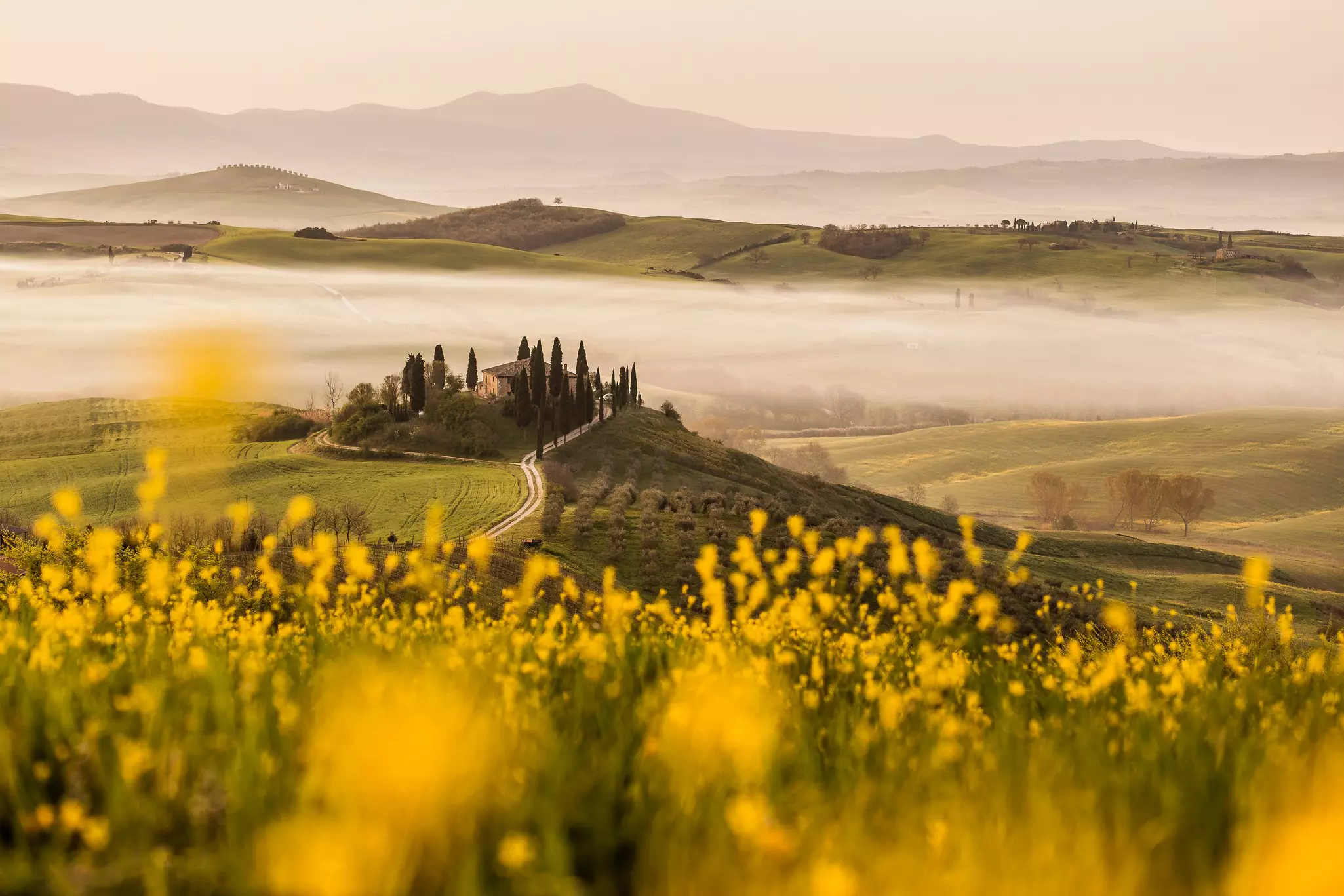 A hilltop farmhouse surrounded by rolling hills with mist in the valleys. Yellow wildflowers dot the top of the nearest hill.