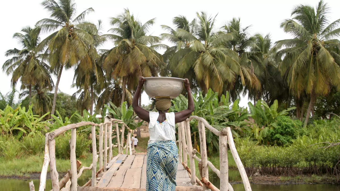 These top tips can help your money go further in Benin © peeterv / Getty Images