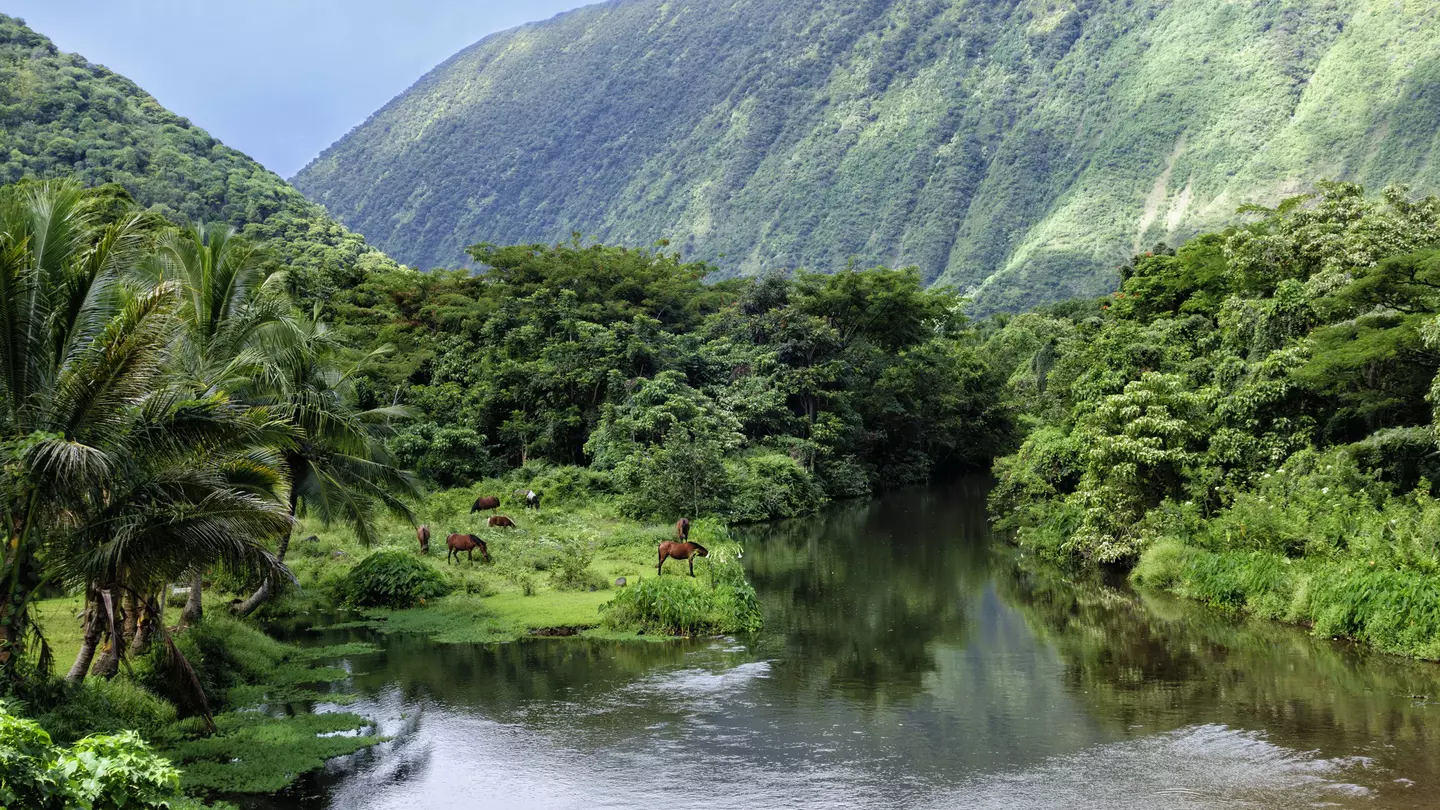 Narrow down your Hawaii hit list with these top places to visit. Alvis Upitis/Getty Images