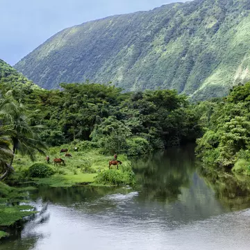 Narrow down your Hawaii hit list with these top places to visit. Alvis Upitis/Getty Images