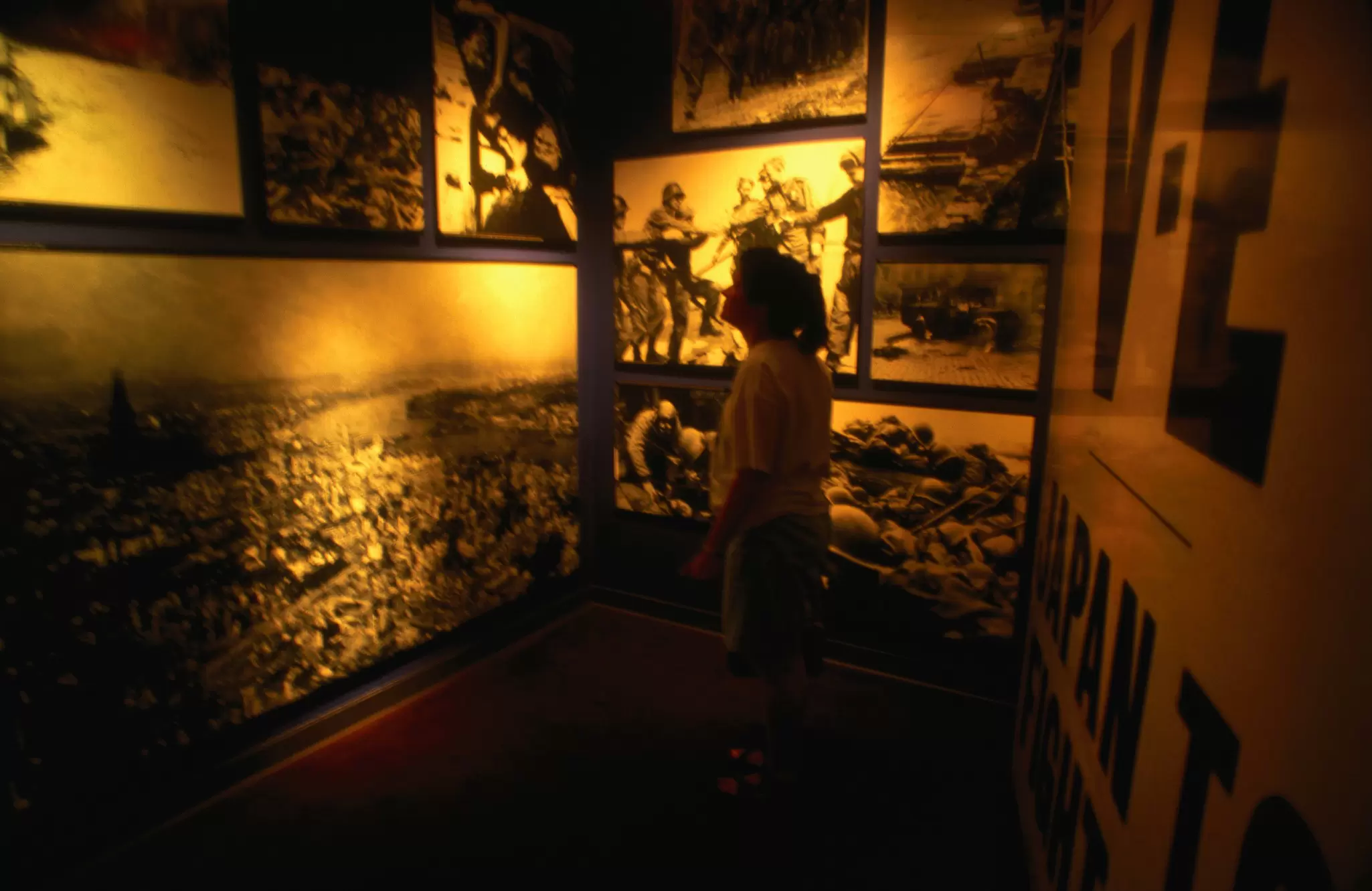 Display at the D Day Museum.