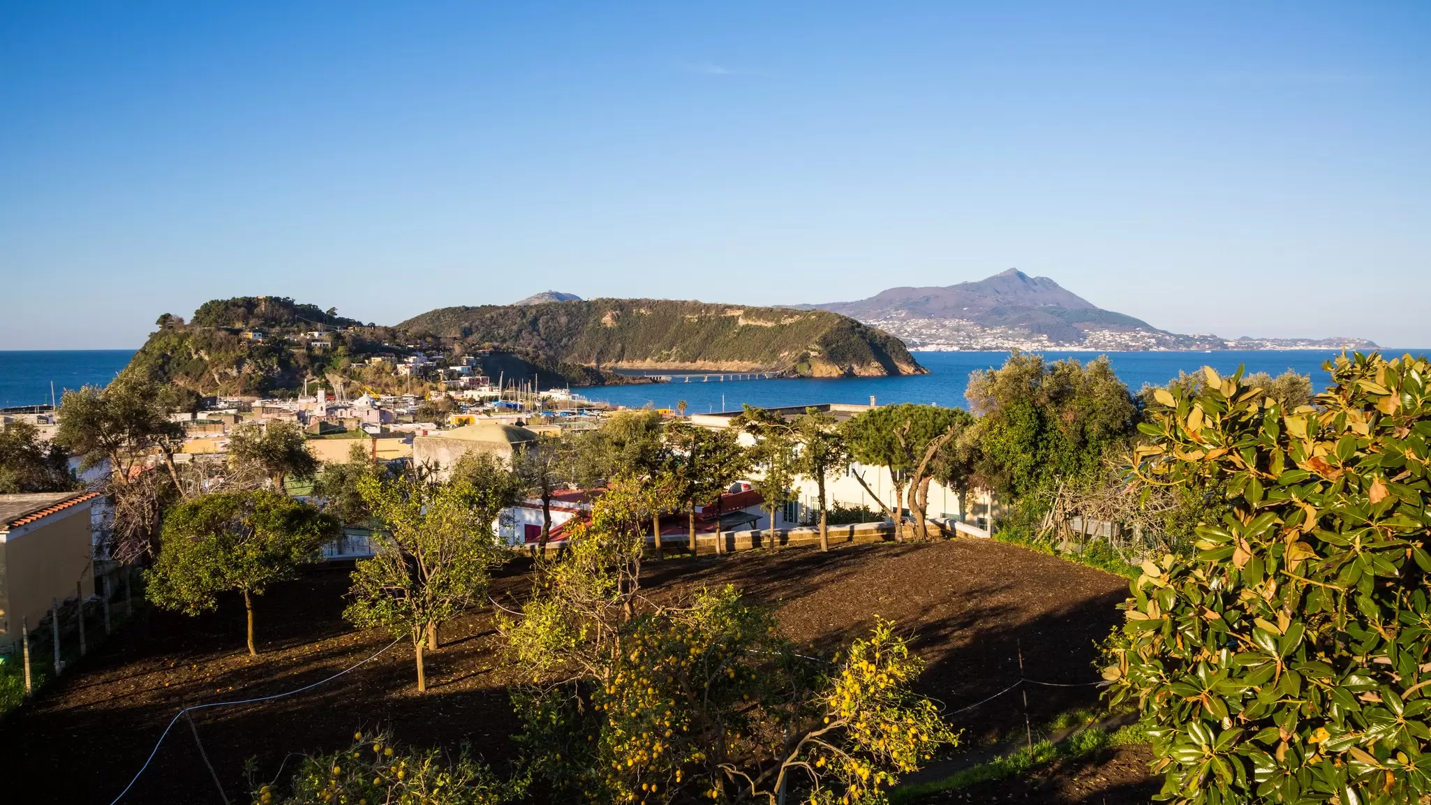 View of Ischia, Vivara and Chiaiolella bay.