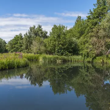 A small pond in London Wetlands Center - WWT nature reserve; Shutterstock ID 311331761;