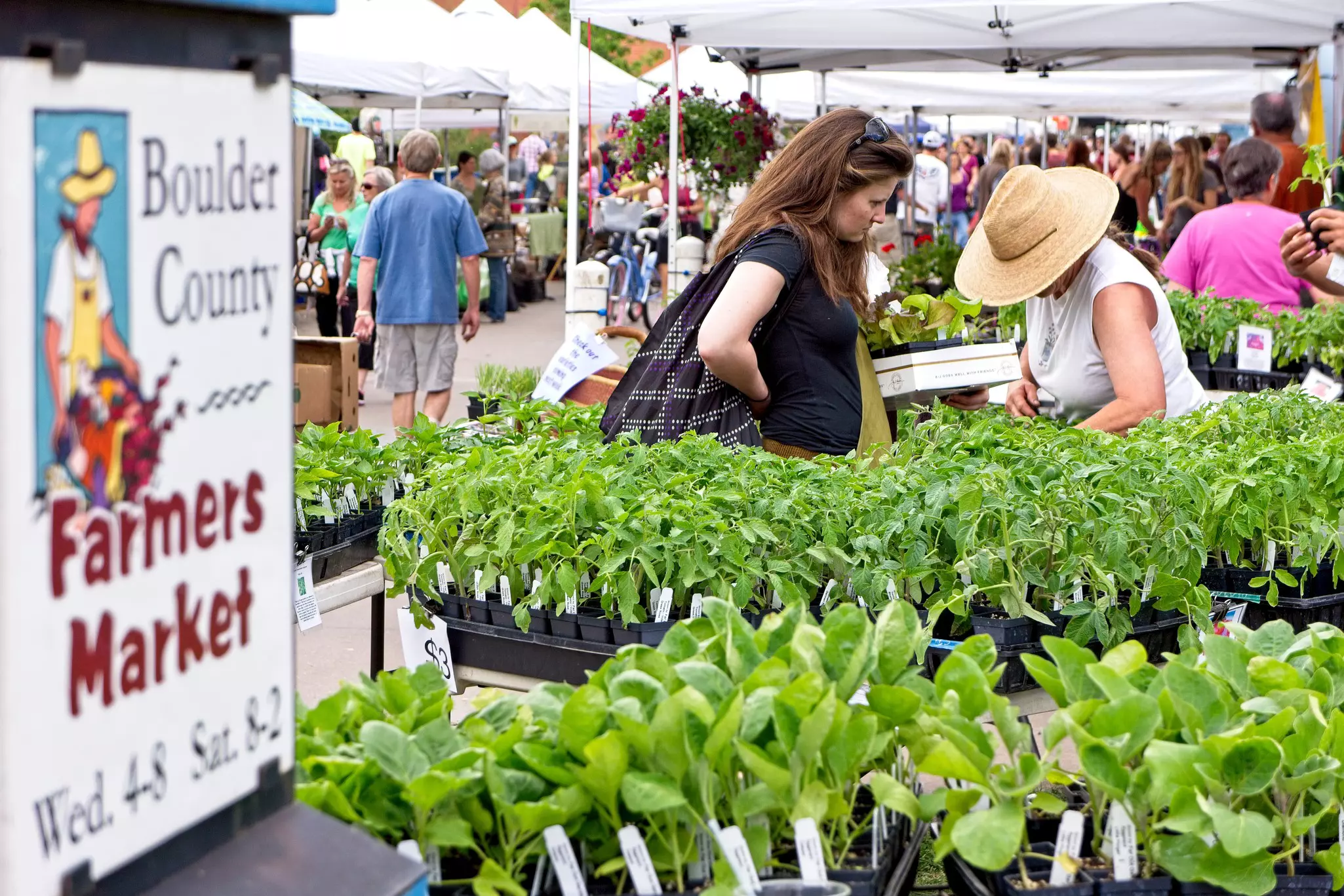 A female vendor wearing a straw hat helps a female shopper examine plants to purchase at the Boulder County Farmers Market.
