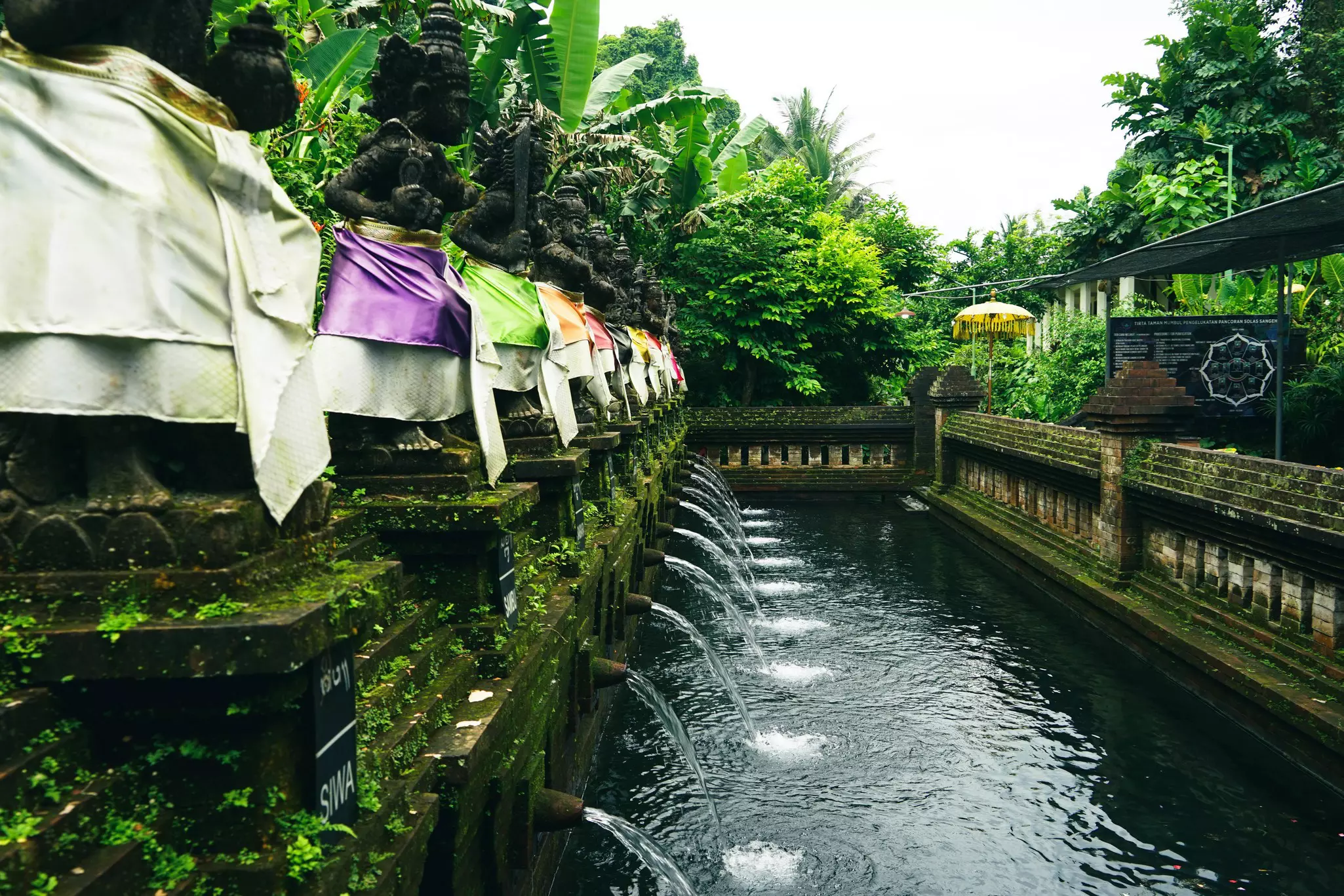 A ritual tank at the Pura Tirta Taman Mumbul temple in Ubud, Bali, Indonesia.