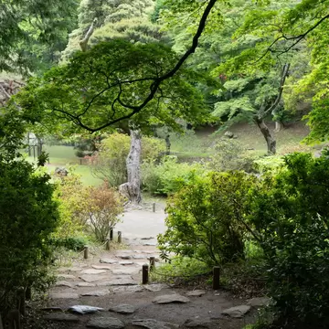 Autumn in Japan is very attractive season for its beautiful colors of Japanese maple, gingko and other trees.