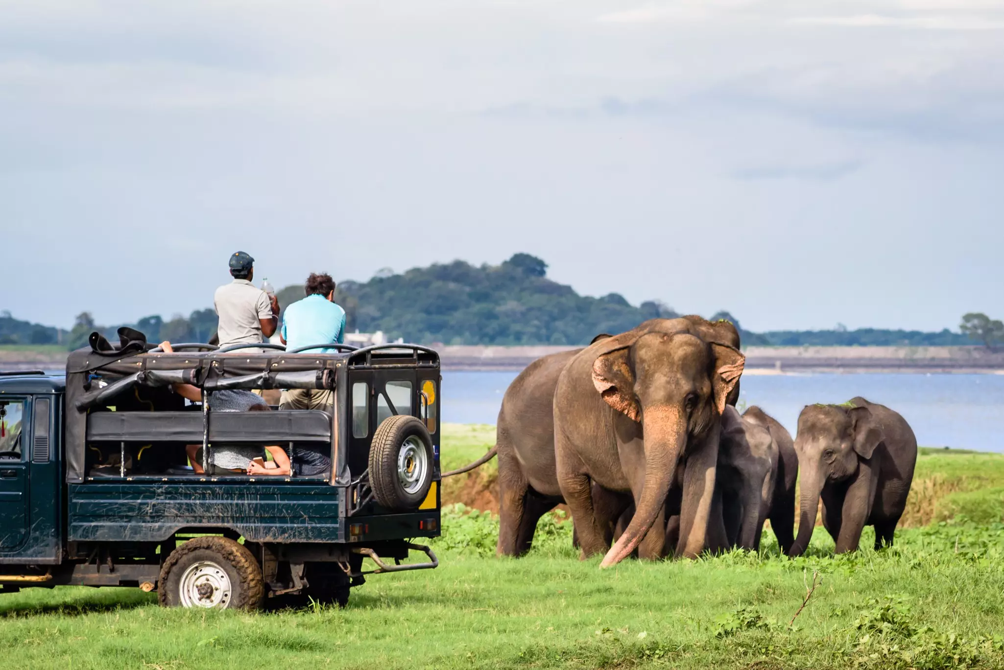 An elephant safari in Minneriya National Park, Sri Lanka. Thomas Dekiere/Shutterstock