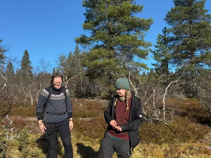 Foraging in the woods with guide Sonja Lassila in Finnish Lapland. 
