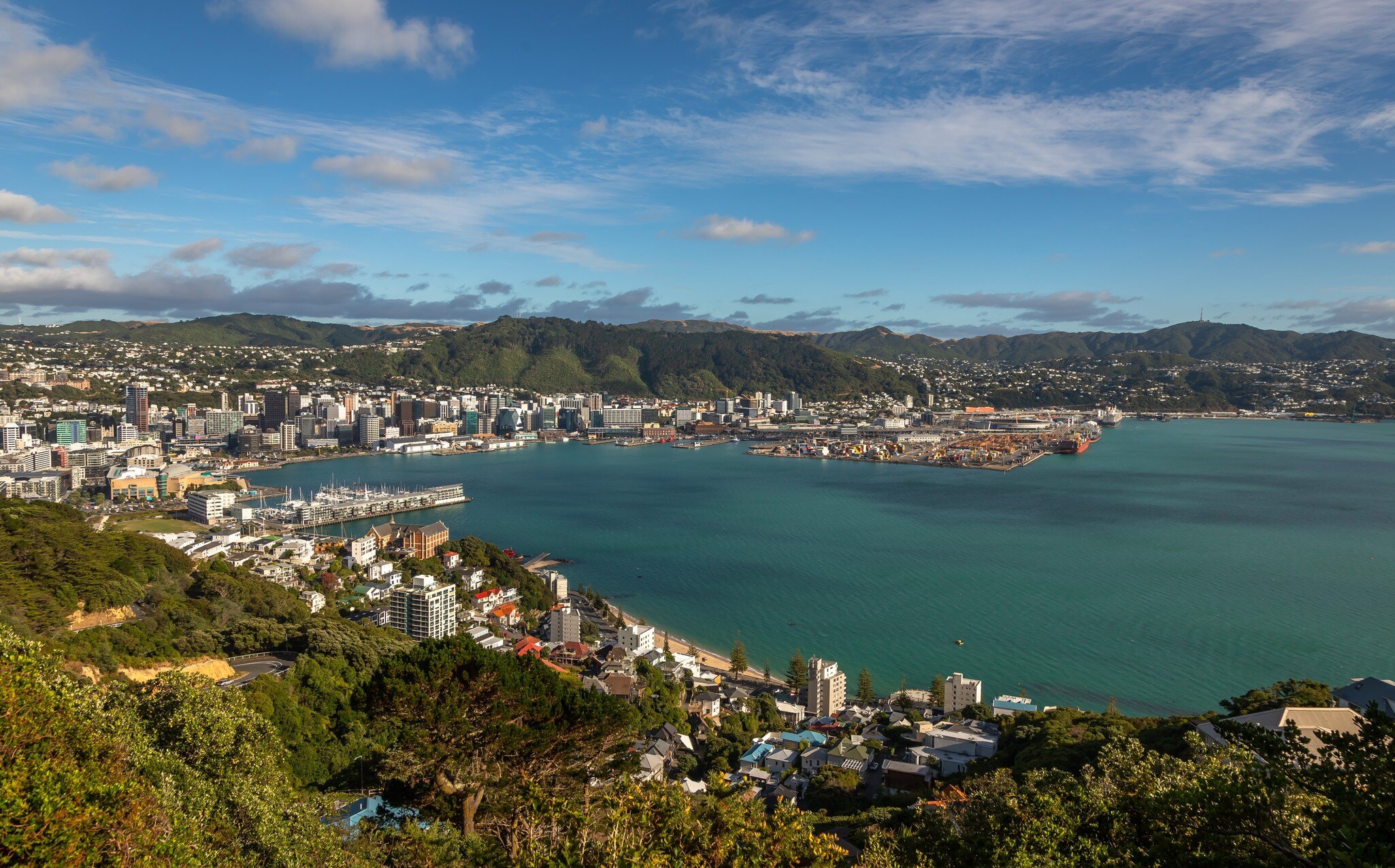 View from the water of traditional residential houses at Mount Victoria in Wellington, New Zealand.