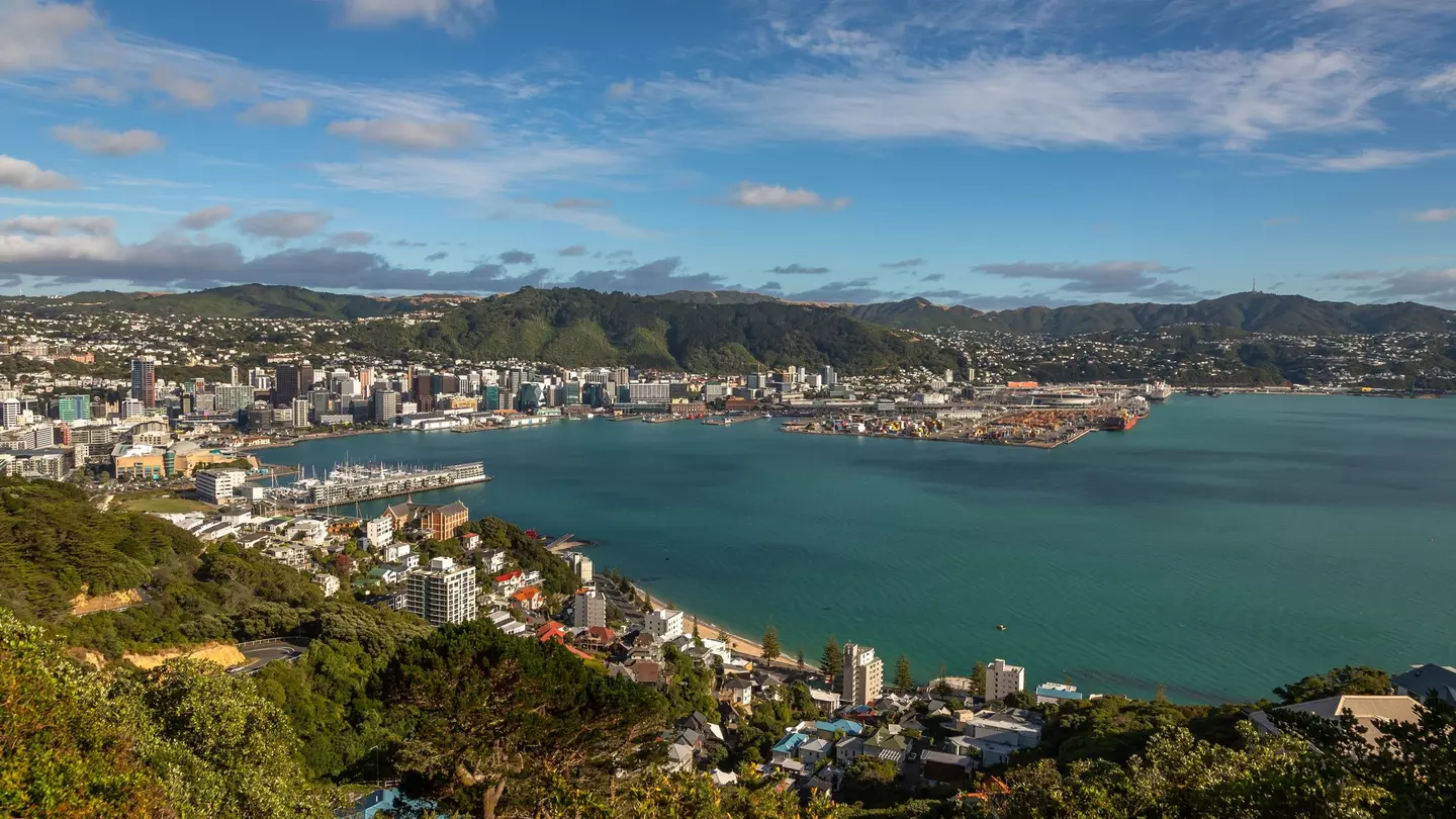 View from the water of traditional residential houses at Mount Victoria in Wellington, New Zealand.
