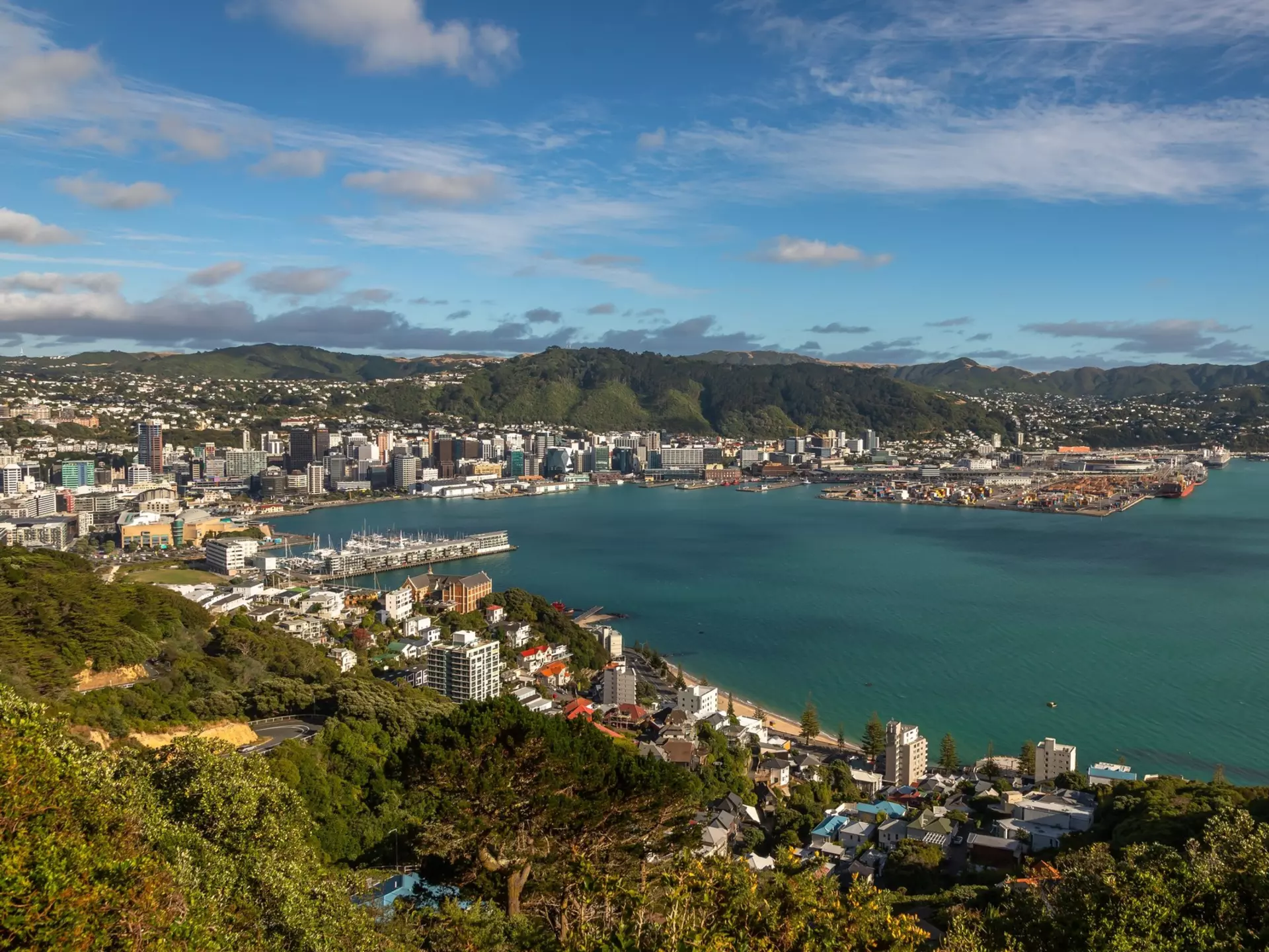 View from the water of traditional residential houses at Mount Victoria in Wellington, New Zealand.