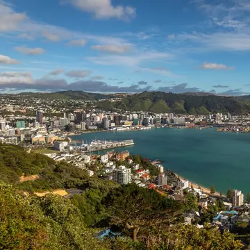View from the water of traditional residential houses at Mount Victoria in Wellington, New Zealand.