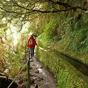 A person walks aside an irrigation canal in a lush green landscape.