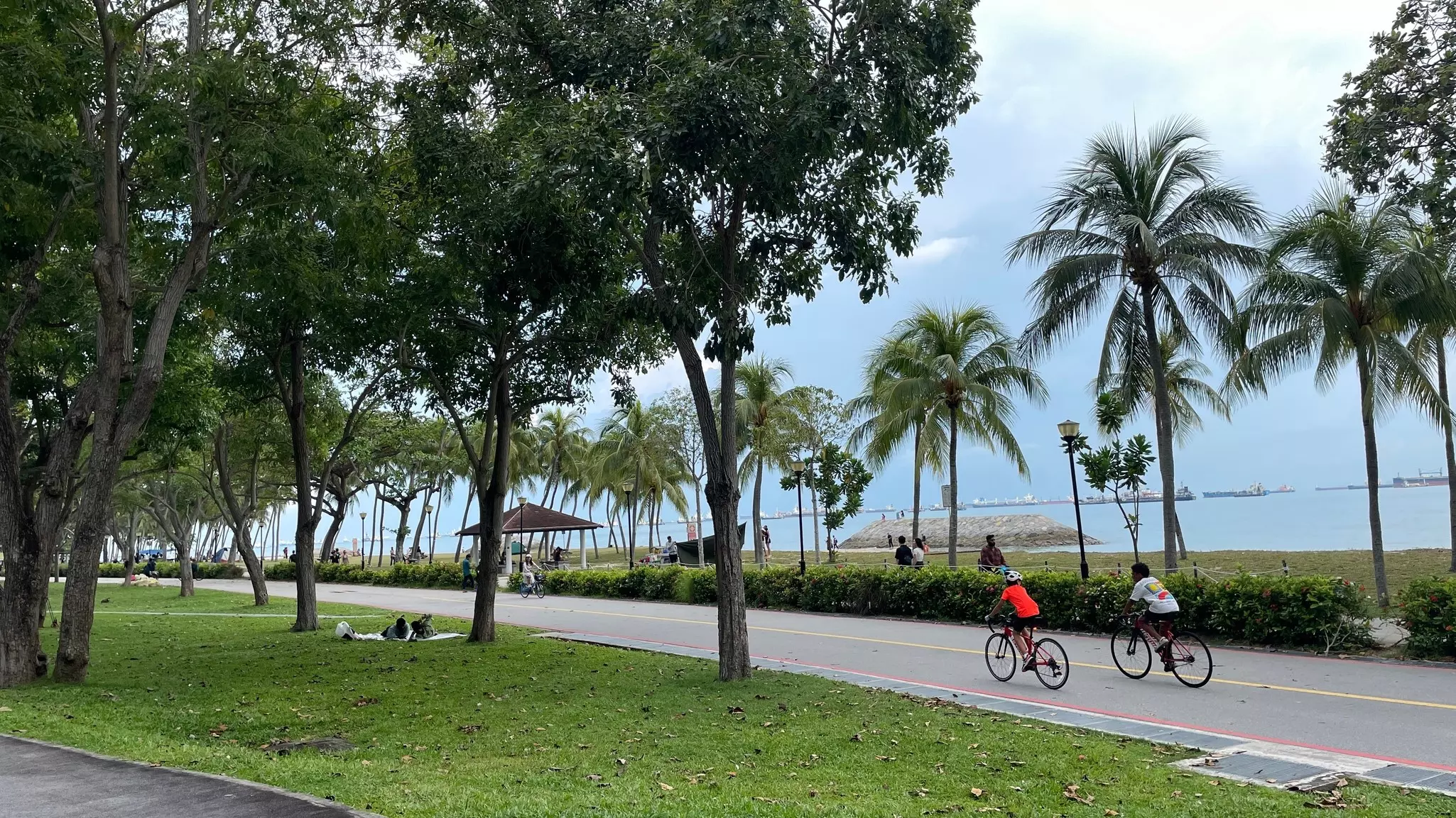 Bicyclists along follow a path through a city park along the shore.