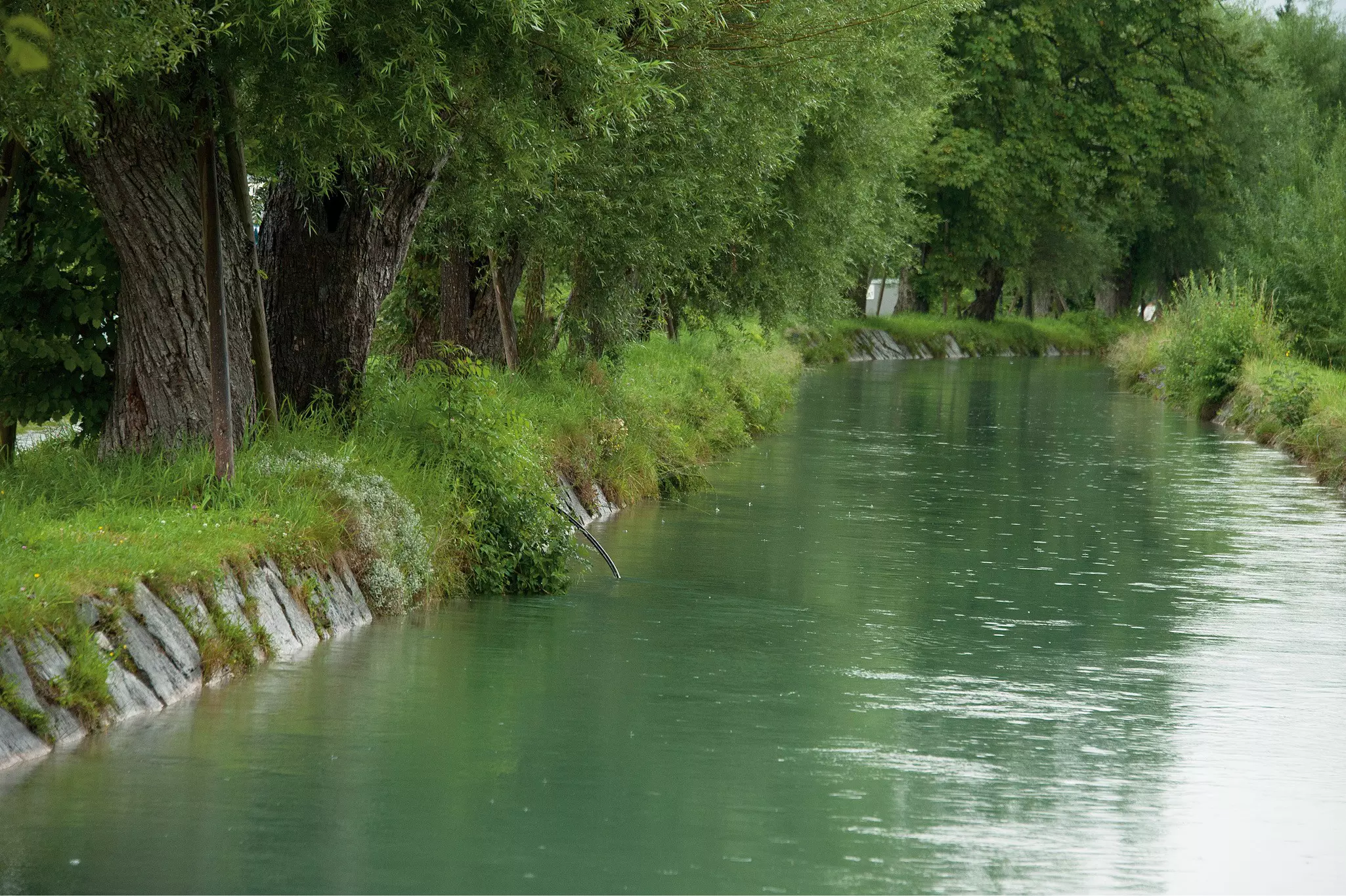 Lush trees line a narrow canal, with a high water level.