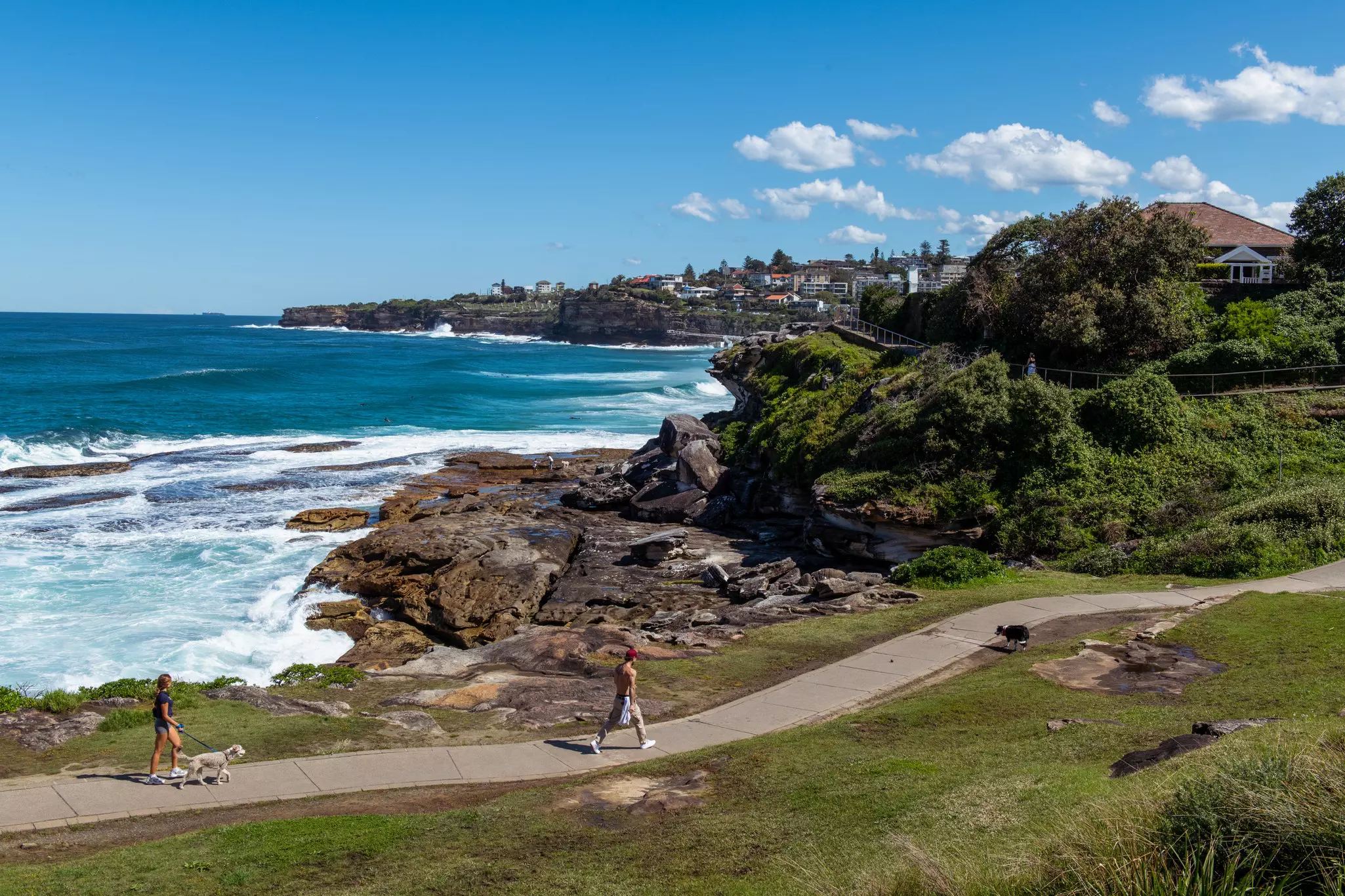 Walkers following a coastal path on a sunny day.