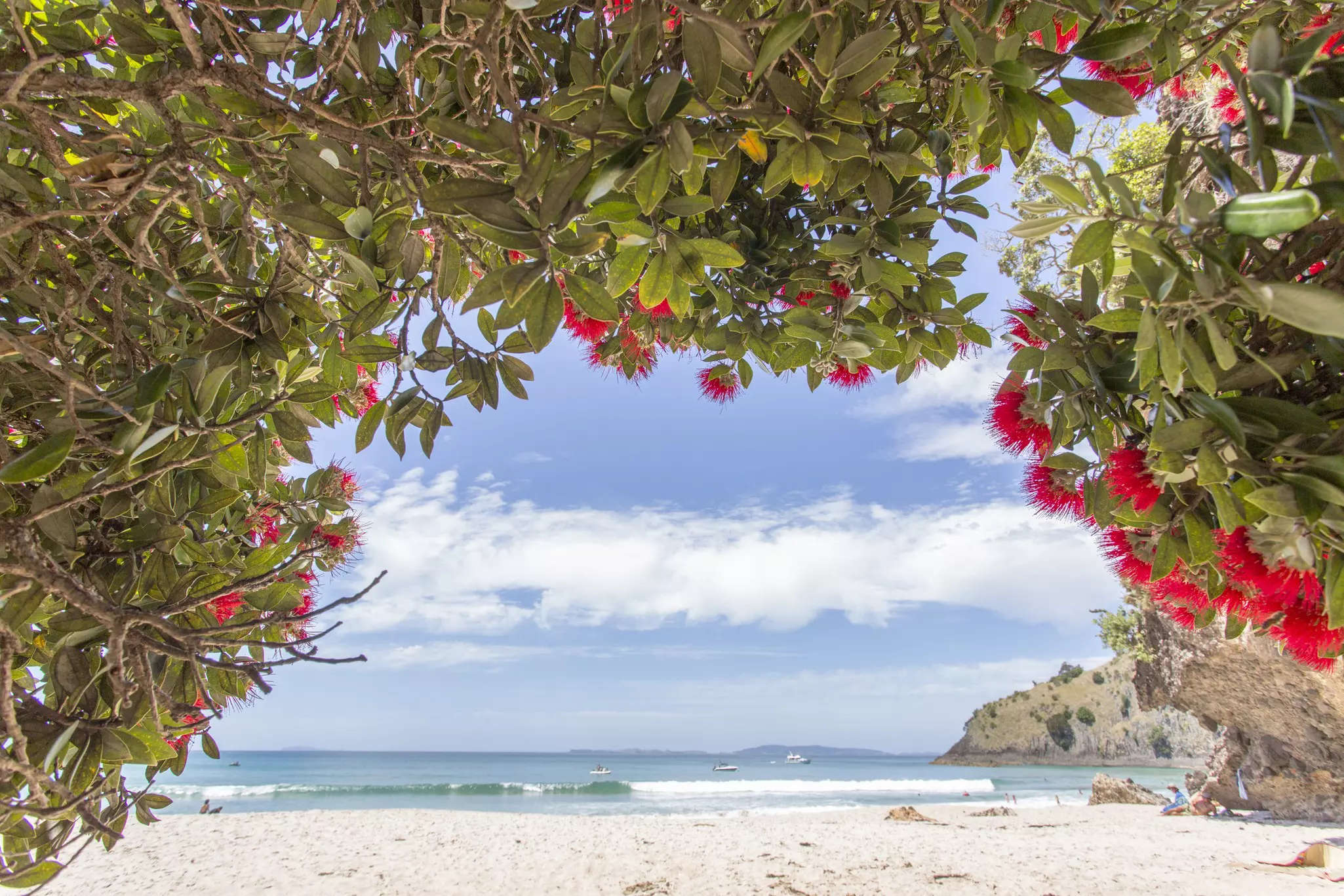 Isolated New Chums Beach is one of New Zealand's most beautiful © MB Photography / Getty Images