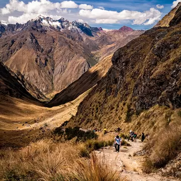 Trekkers on a rocky stepped path through golden grassland, looking down a steep valley to snow-capped mountains.