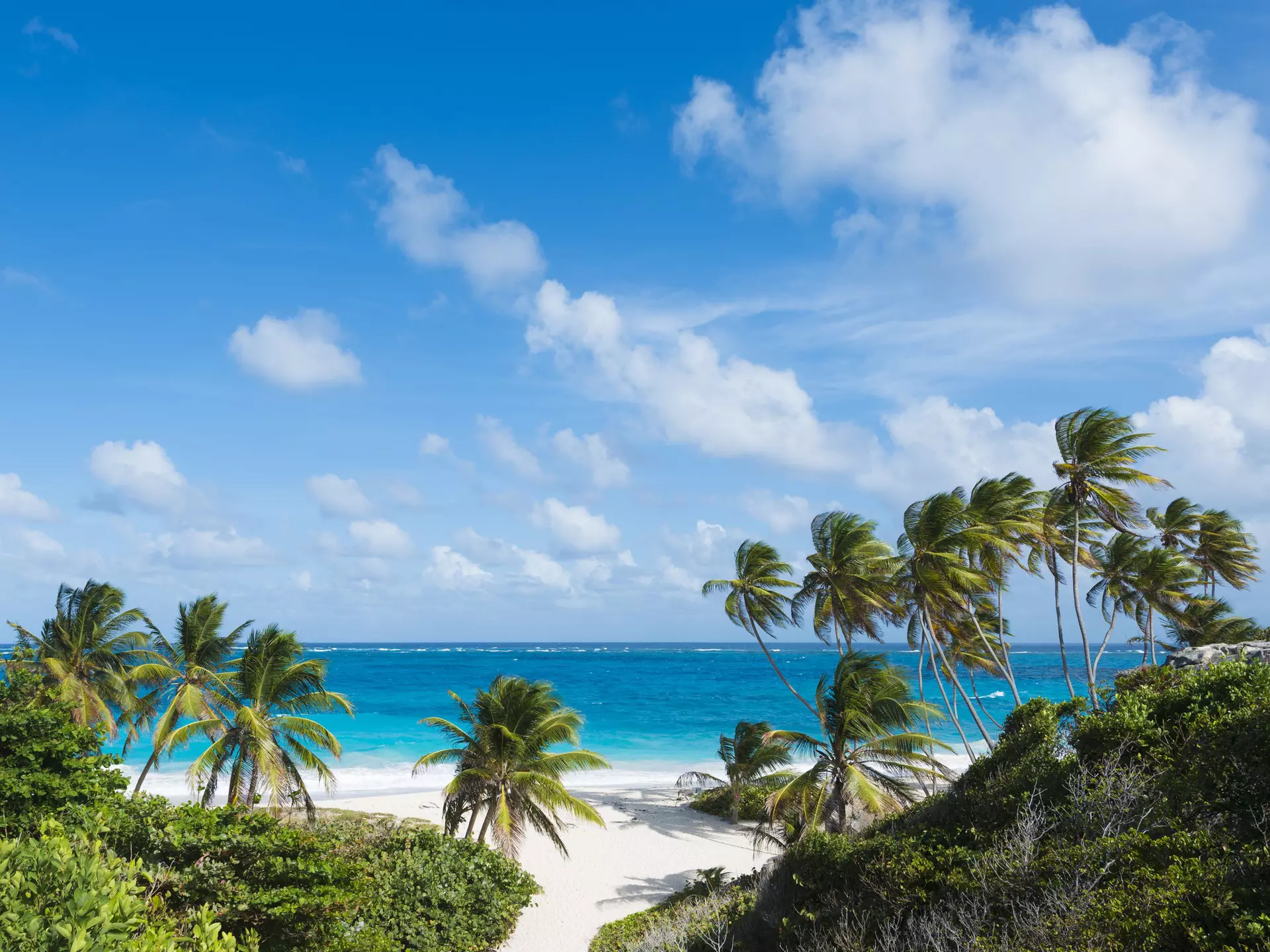 Empty sands and palm trees at Bottom Bay Beach in Barbados