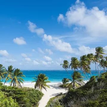 Empty sands and palm trees at Bottom Bay Beach in Barbados