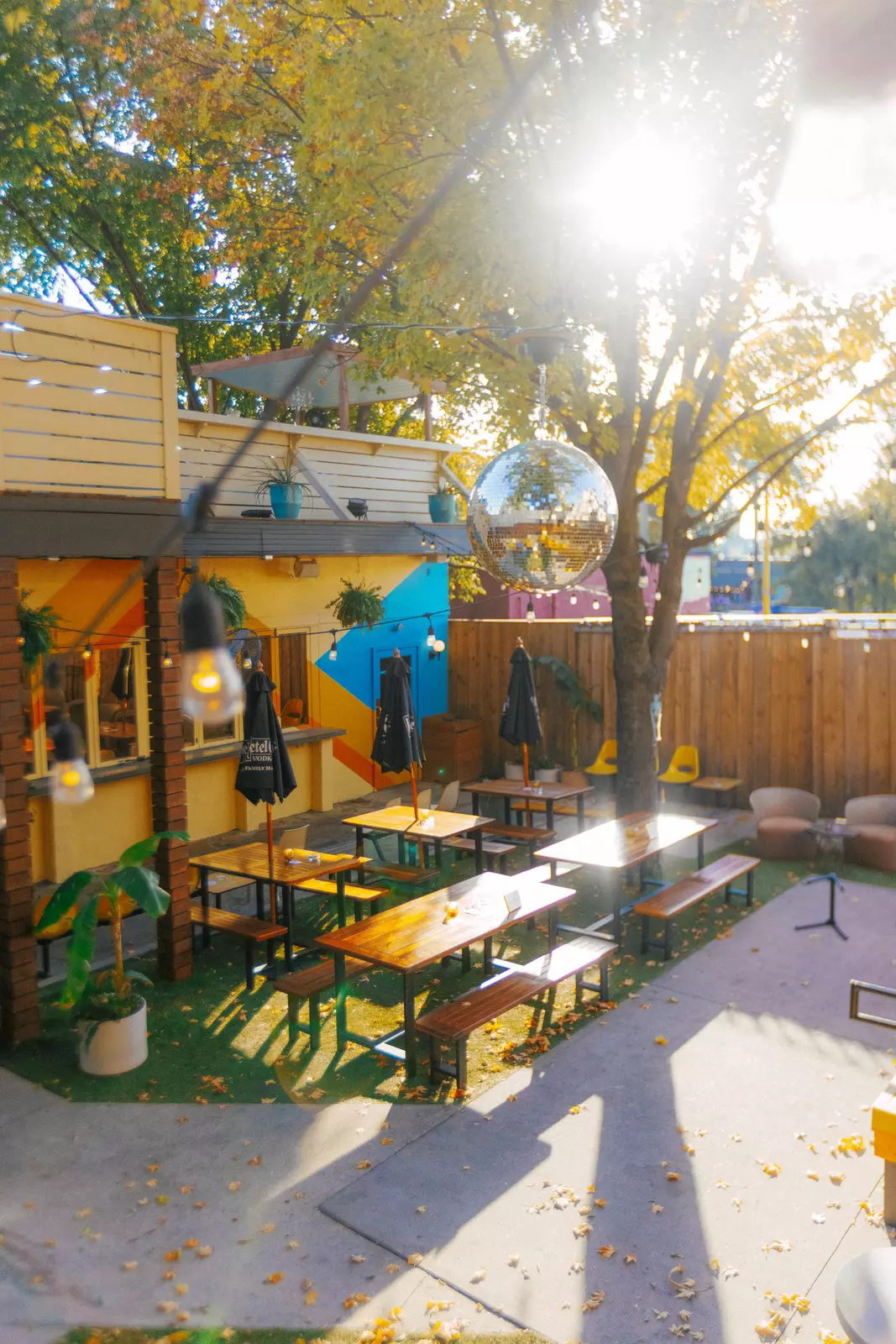 Back patio at Rosemary & Beauty Queen