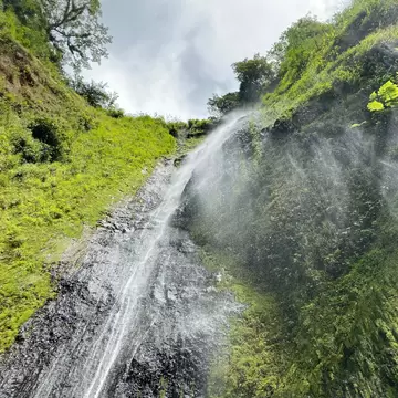 Waterfall spraying down a steep, moss-covered rock face in lush forest, Isla de Ometepe, Nicaragua