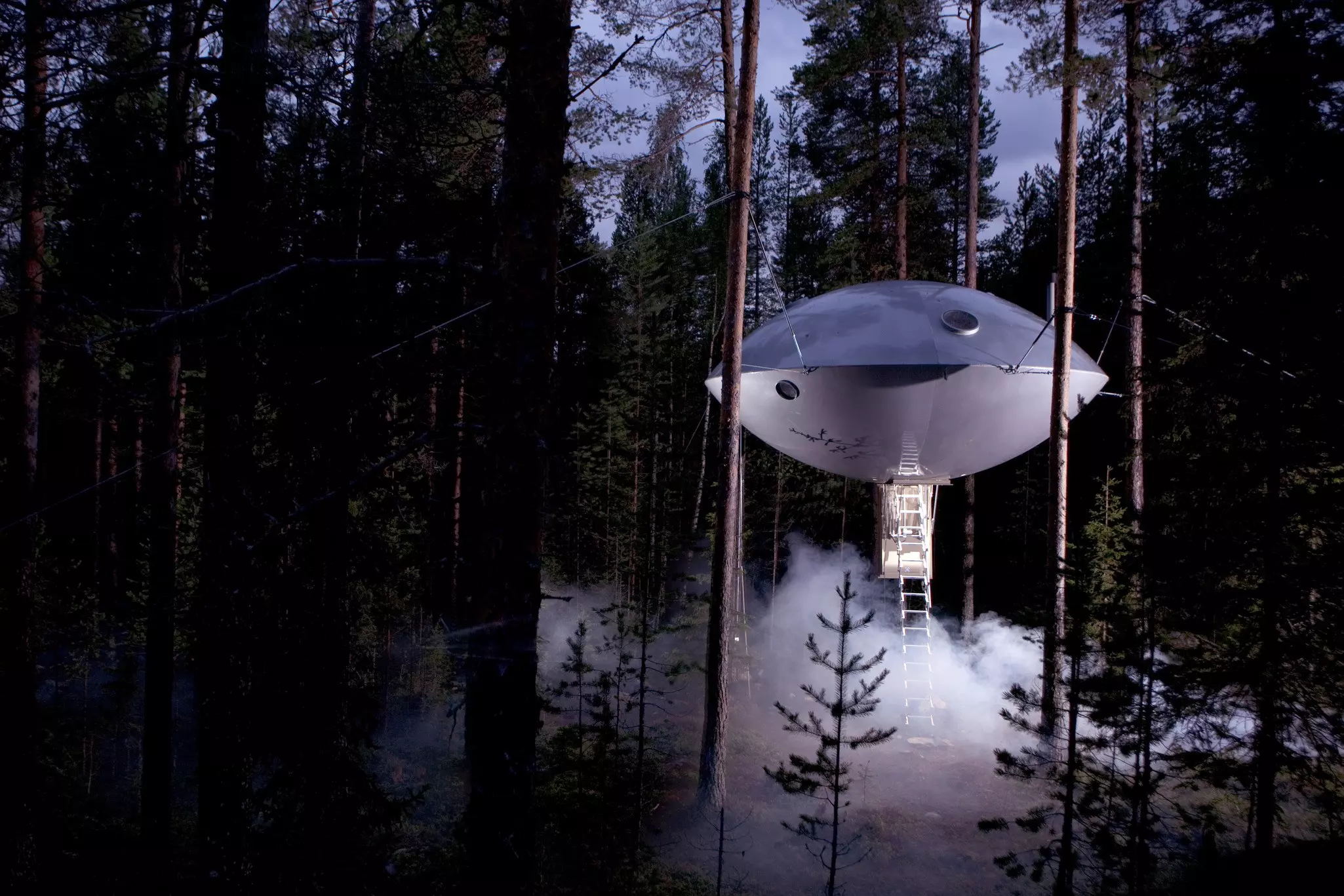 Choose from eight different styles of treehouse at Treehotel, including the UFO © Peter Lundstrom / Treehotel