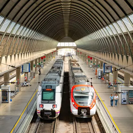 Two trains at a platform in a station with a curved roof