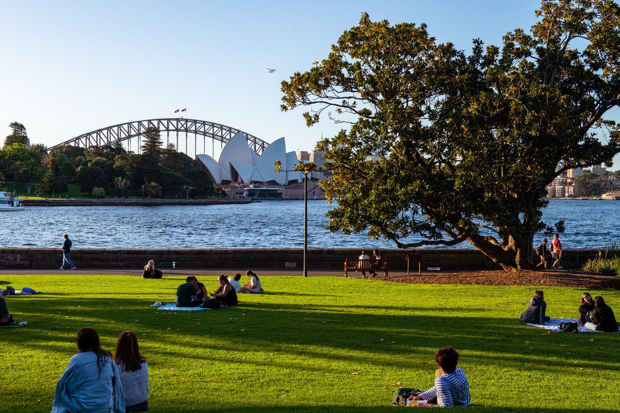 People lounging on the grass in Royal Botanic Gardens, Sydney, Australia.