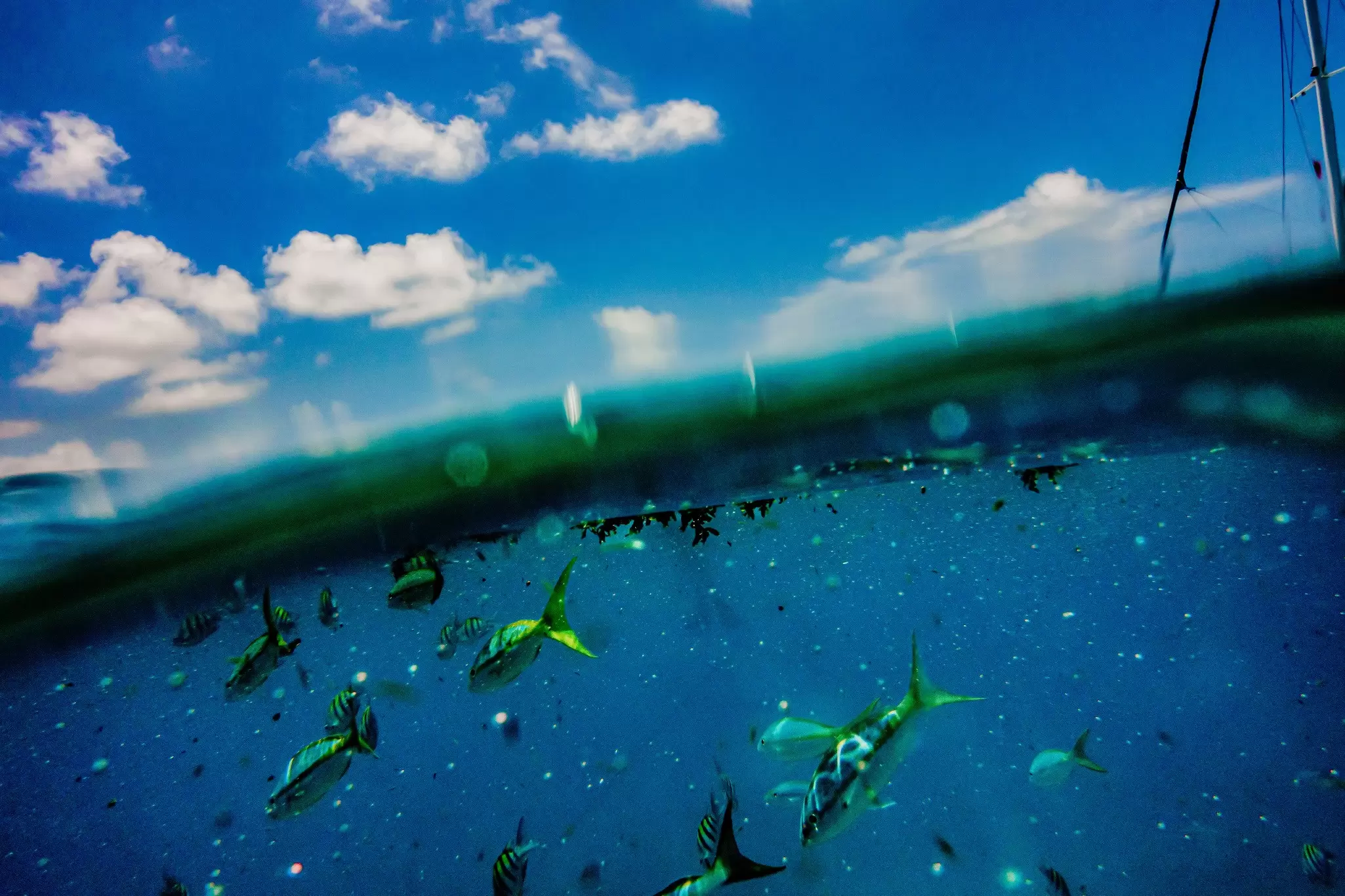 The fragile ecosystem of the Keys’ reefs require responsible exploration. Scott McIntyre