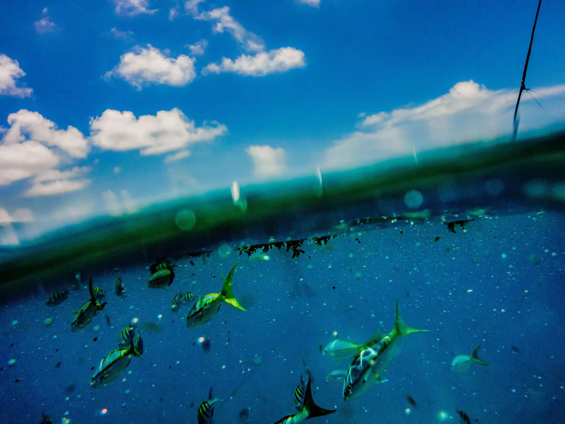 The fragile ecosystem of the Keys’ reefs require responsible exploration. Scott McIntyre