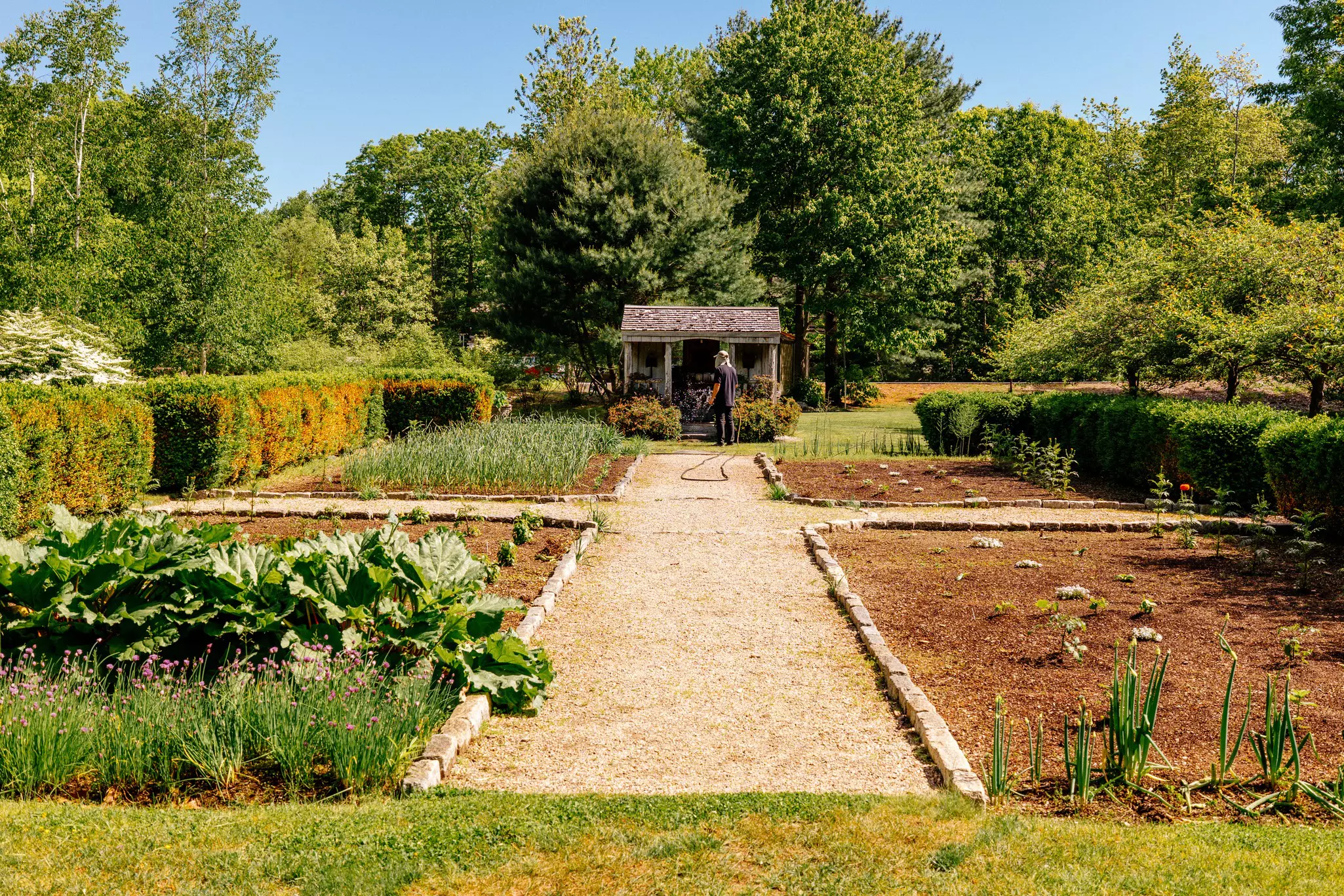 Yoga and art classes at Hidden Pond, Maine