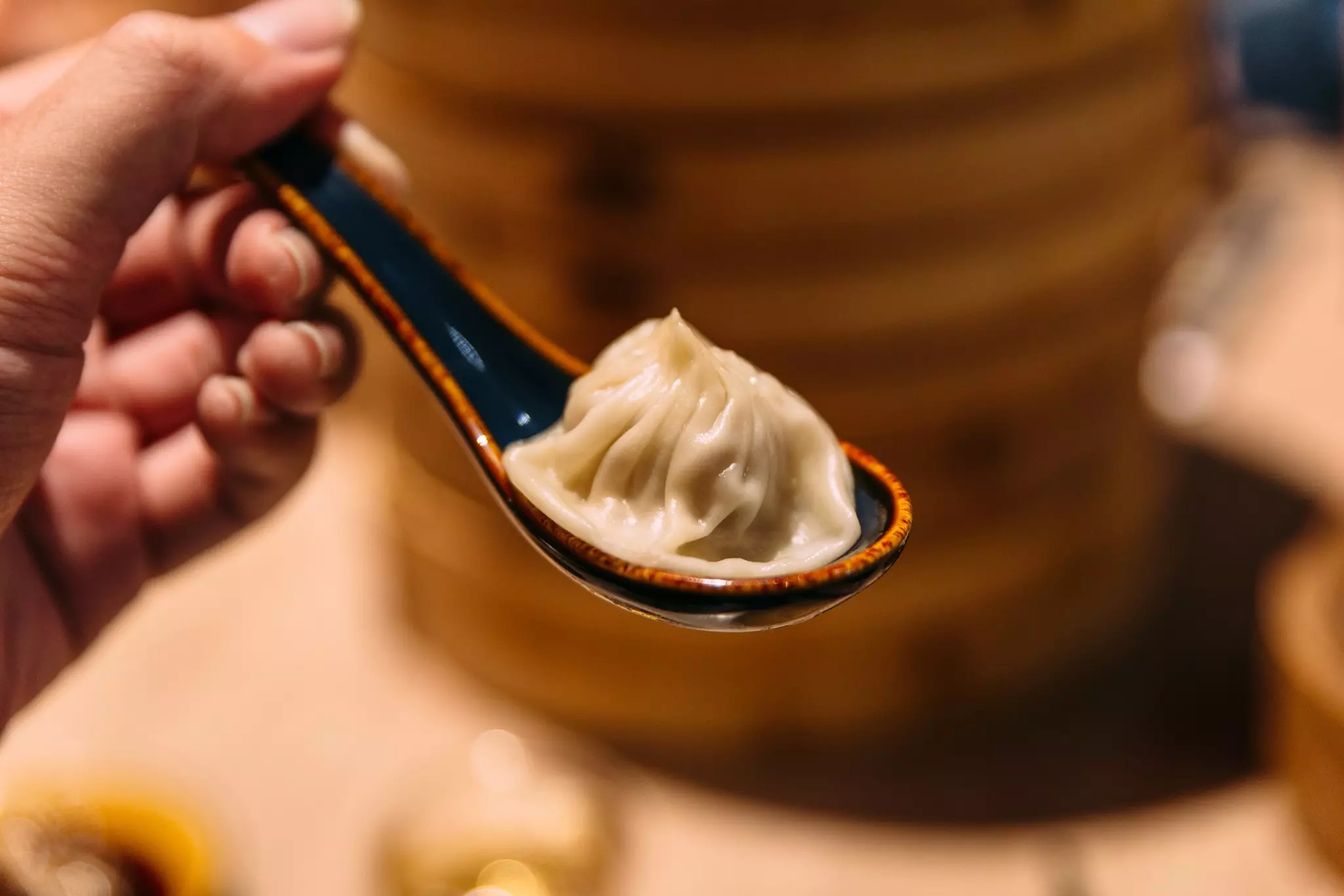 Xiao Long Bao (Soup Dumpling) in spoon with blur bamboo streamer basket in background.  License Type: media  Download Time: 2022-09-19T14:55:59.000Z  User: hello11306645  Is Editorial: No  purchase_order: