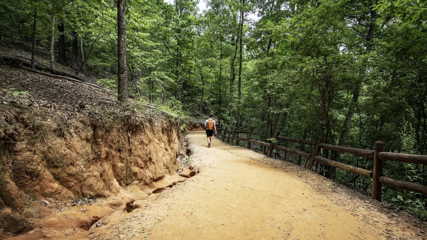 A hiker walks down the red-soiled path into Providence Canyon