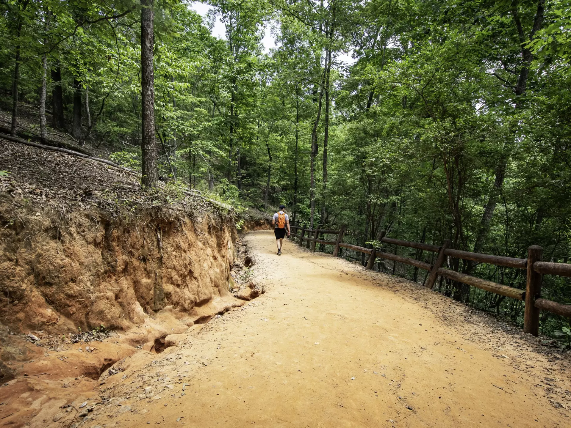 A hiker walks down the red-soiled path into Providence Canyon