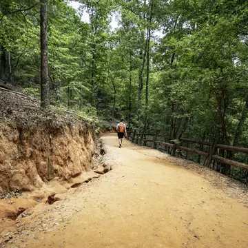 A hiker walks down the red-soiled path into Providence Canyon