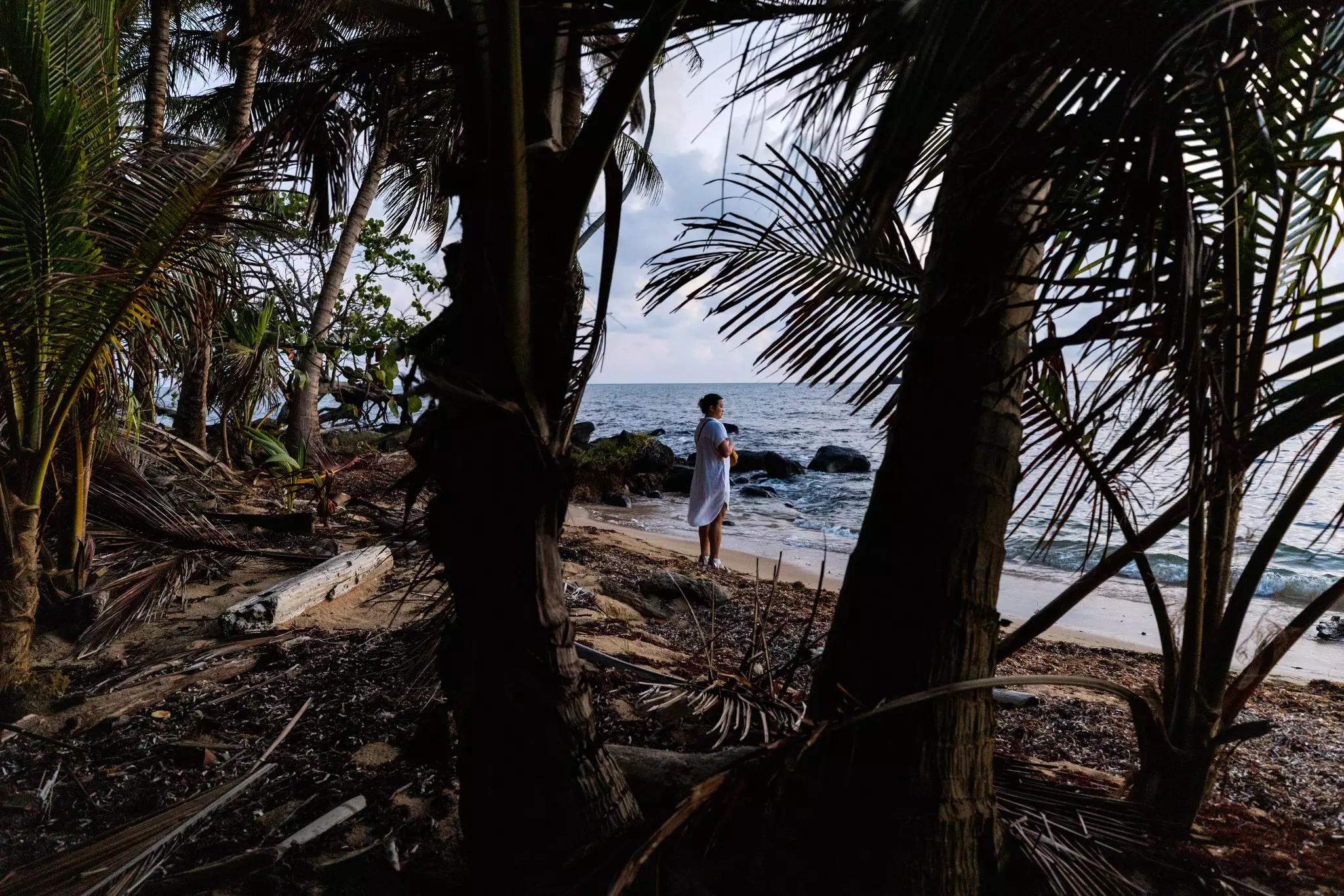 A person is seen through a shadowy grove of palm trees looking out at the water by a beach 