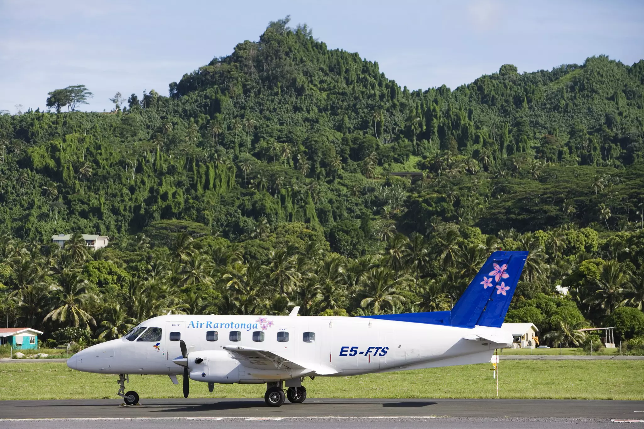 A small plan on a runway backed by dense tropical foliage.