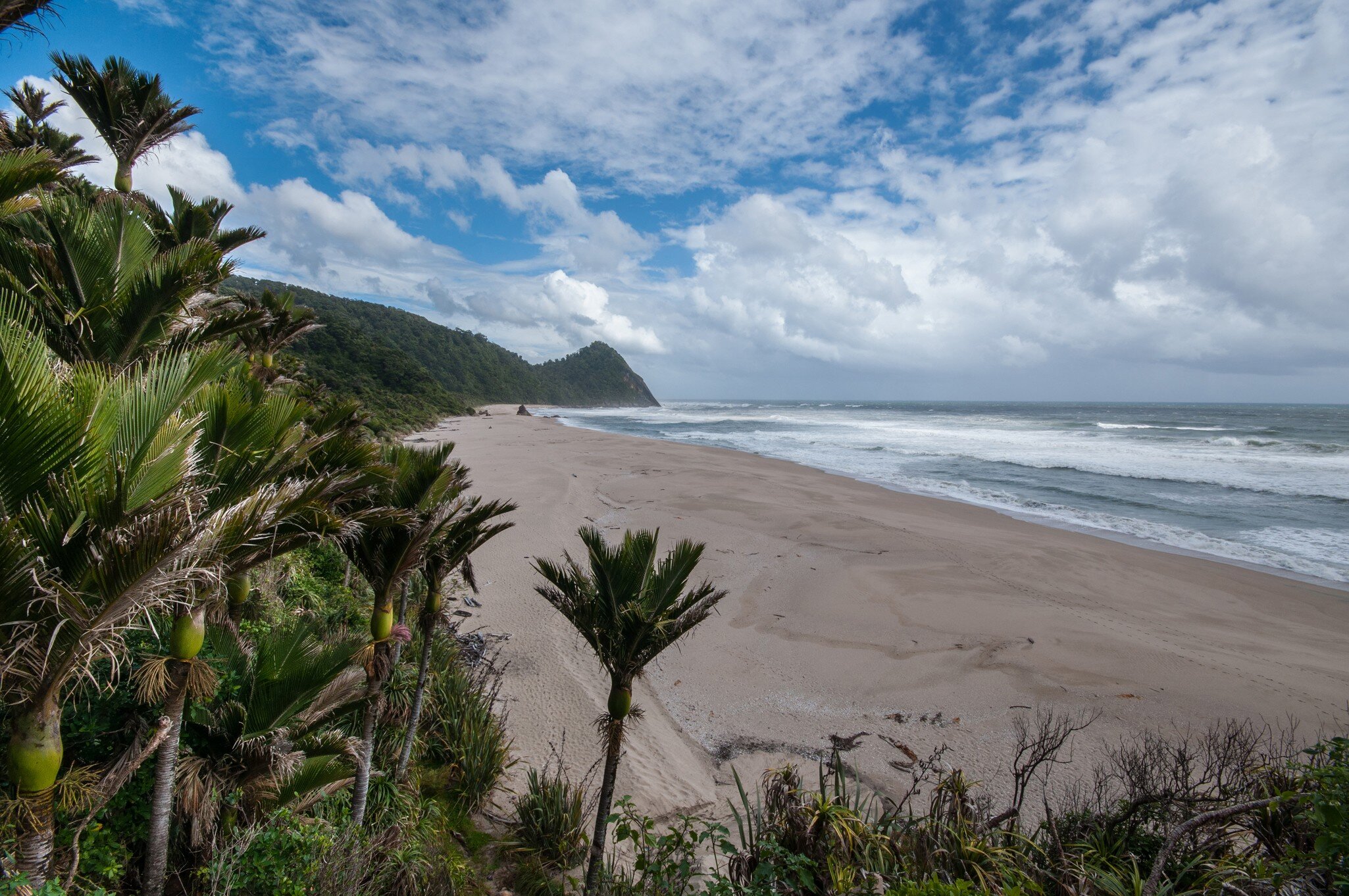 A view on New Zealand's South Island's West Coast's Scotts Beach from coastal part of Heaphy Track