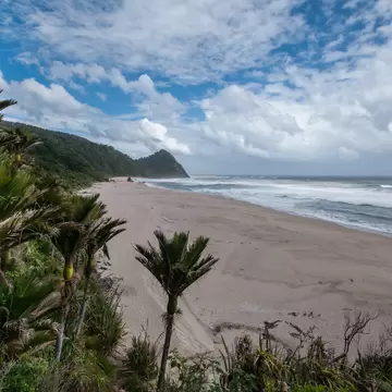 A view on New Zealand's South Island's West Coast's Scotts Beach from coastal part of Heaphy Track