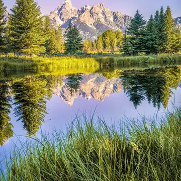 The Teton range's reflection upon the Snake River after dawn at Schwabacher Landing in Grand Teton National Park, WY.
