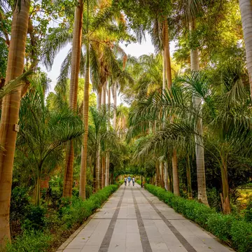 Aswan botanical gardens.