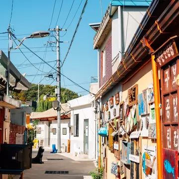 Narrow sunny lane with a yellow wall covered in painted wooden signs and folk art, utility poles and low houses beyond.