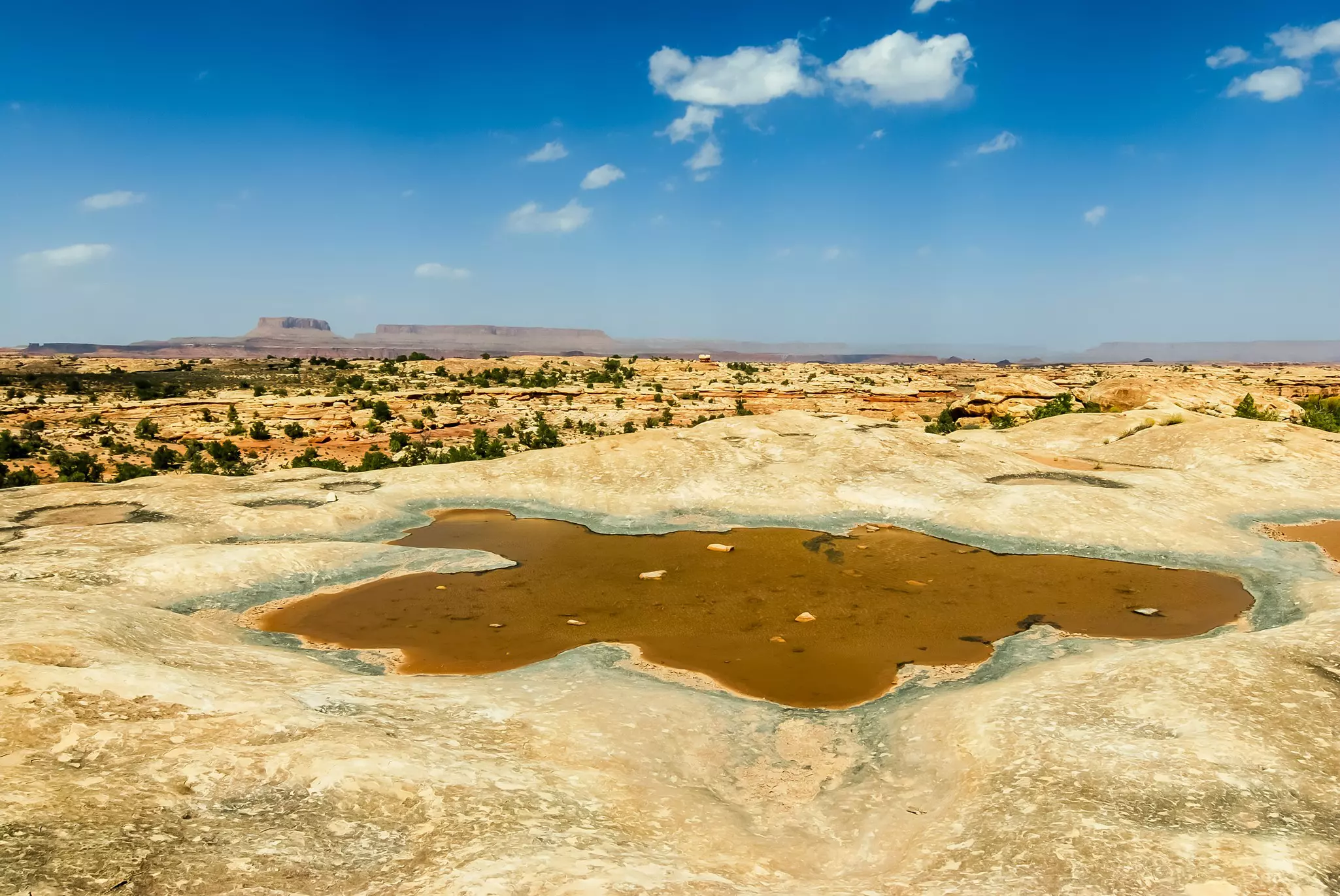 Large pothole on Pothole Point Trail in Canyonlands National Park in Utah with rock formations in the far distance.
