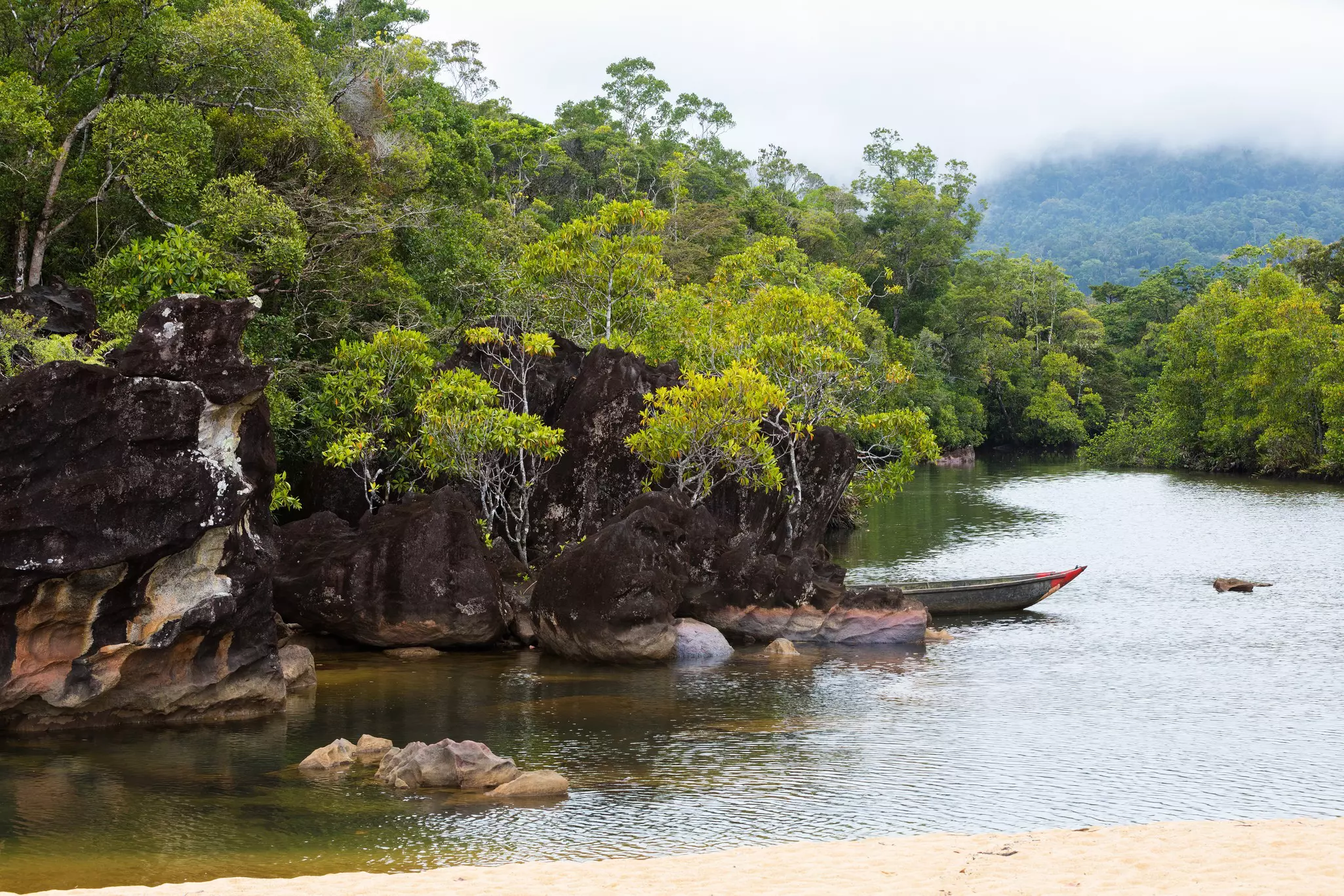 A small motorboat moored in a river through dense jungle 