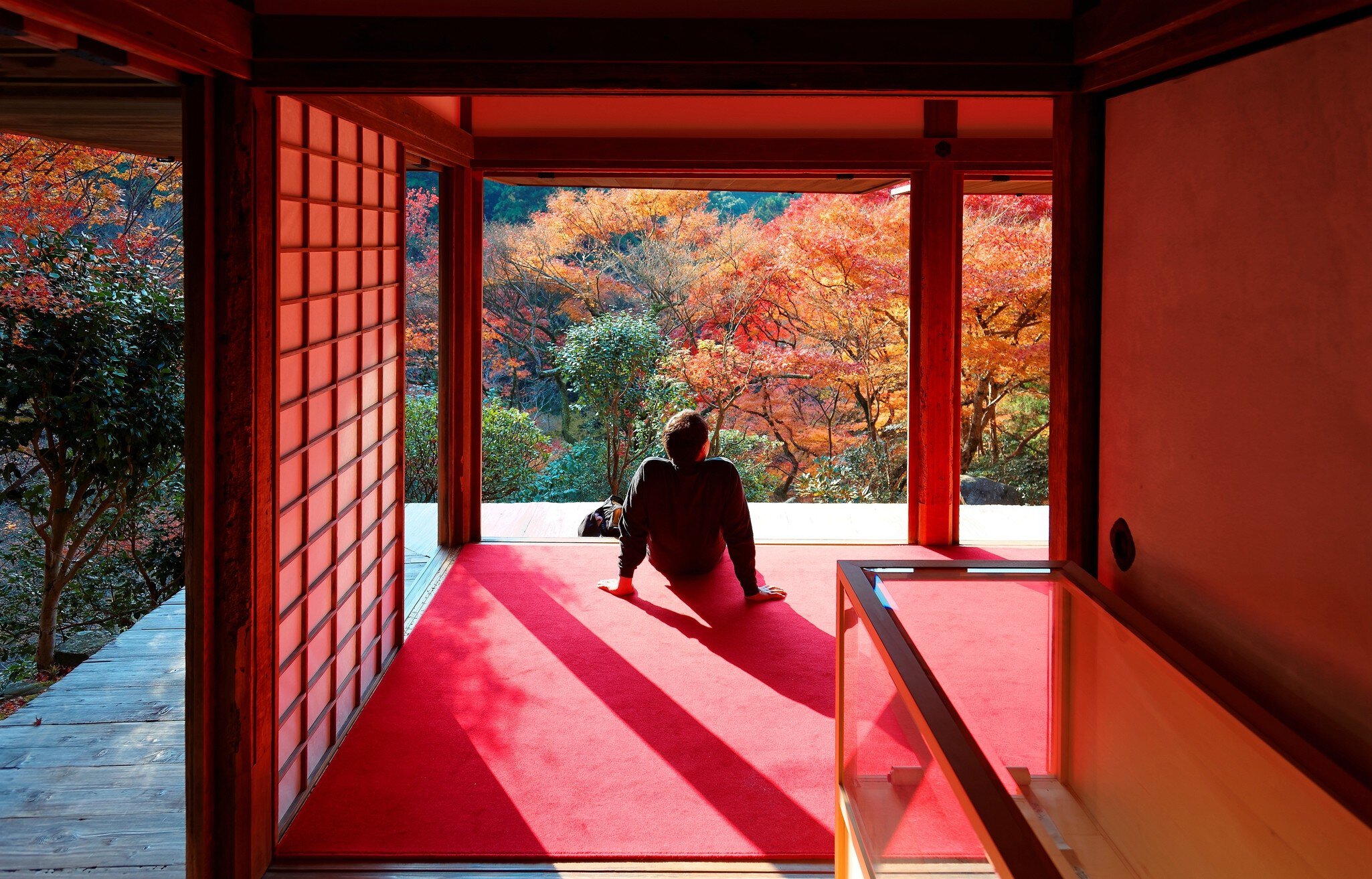 Fall in Kyoto