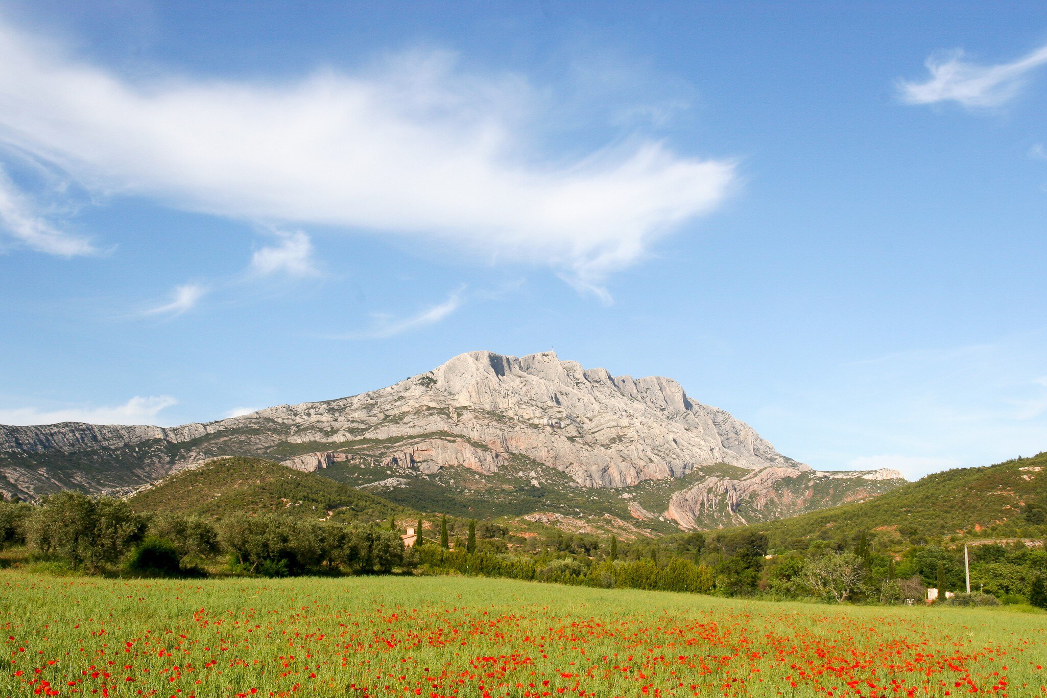 Mount Sainte Victoire and poppies in Provence, France.